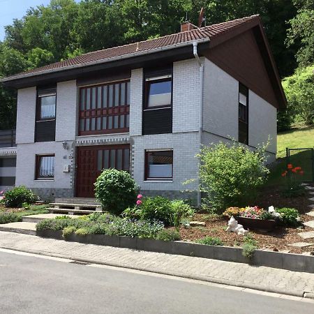 WaldgrehweilerFerienhaus Moscheltal别墅 外观 照片