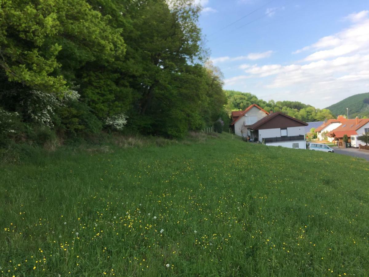 WaldgrehweilerFerienhaus Moscheltal别墅 外观 照片