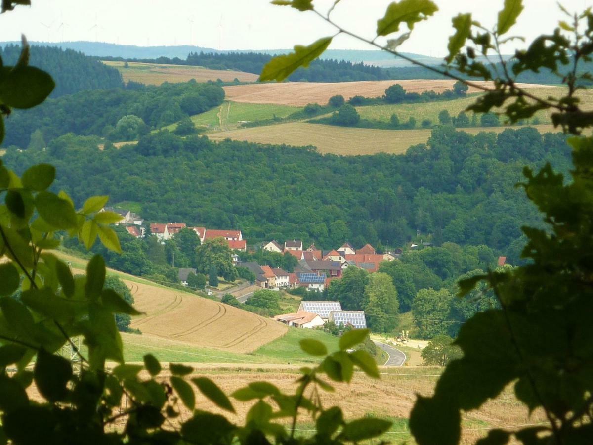 WaldgrehweilerFerienhaus Moscheltal别墅 外观 照片